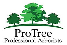 Pro Tree Professional Arborists